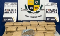 Polícia apreende 80 tabletes de maconha na MT-322