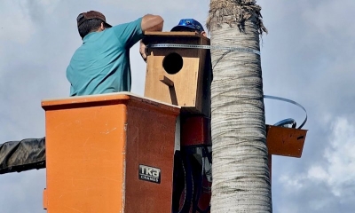 Complexo dos Lagos de Matupá ganha abrigo para aves 