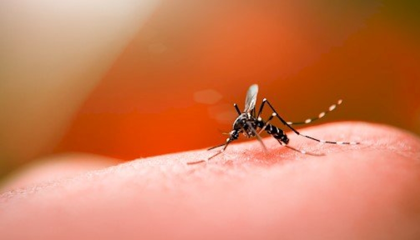 Criança de 5 anos morre com suspeita de dengue hemorrágica em hospital de MT