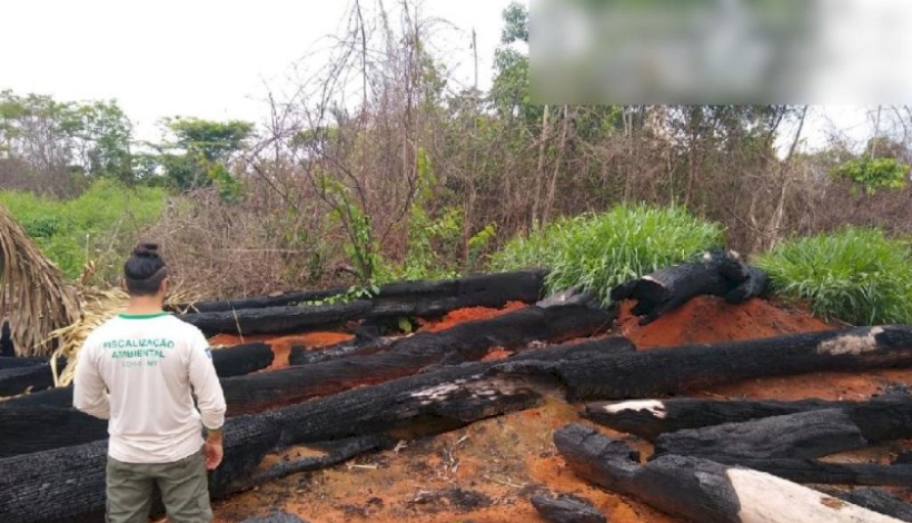 Sema retira de circulação créditos falsos que liberavam comercialização de madeira