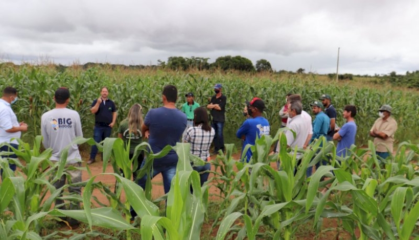 COOPERMT realiza Dia de Campo sobre Hortifruticultura em Matupá