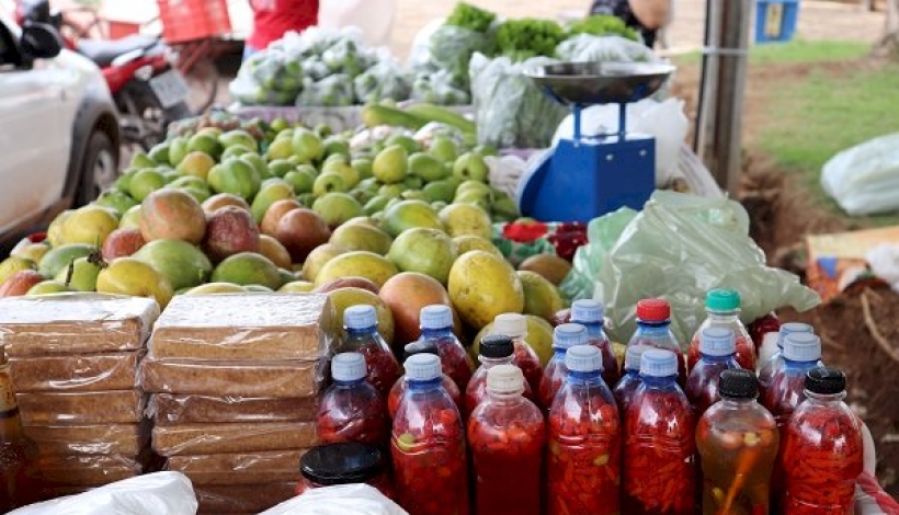 Feira Livre com 1ª Ação Itinerante da Secretaria de Agricultura