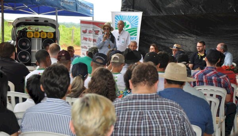 EMPAER-MT lança em Matupá Projeto de Confinamento de Bovinos de Corte 