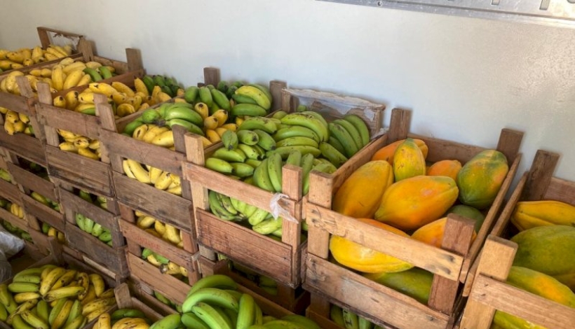 1 Tonelada de alimentos da Agricultura Familiar para Merenda Escolar