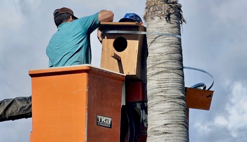 Complexo dos Lagos de Matupá ganha abrigo para aves 