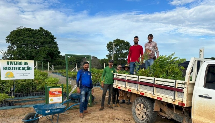 Cooperados e Agricultores Familiares recebem mudas da Coogavepe