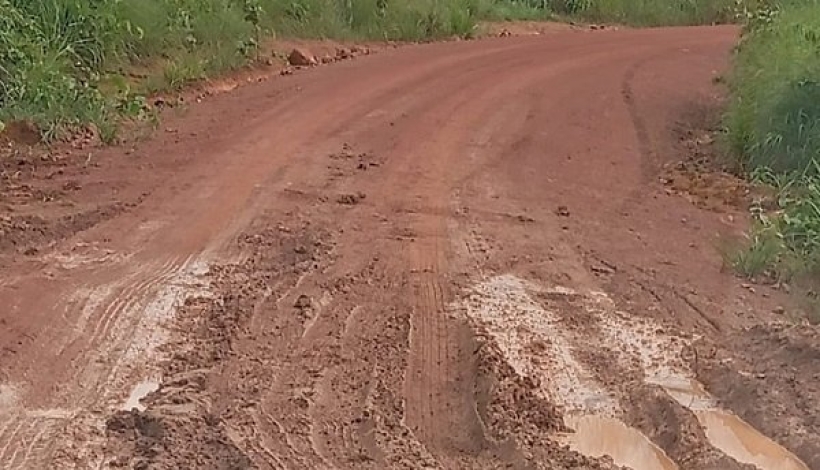 Presidente da Câmara de Matupá apoia demandas do setor produtivo