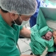 Hospital Municipal de Guarantã do Norte é referencia em partos e cirurgias humanizados