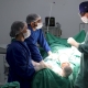 Cirurgias de Prótese de Joelho são realizadas em Guarantã do Norte