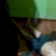 Menor matou comerciante degolado enquanto esperava por programa sexual