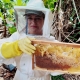 Agrifisas busca capacitar agricultores familiares do PA Antônio Soares