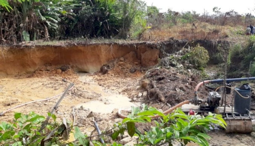 Garimpo ilegal é descoberto no meio de floresta 