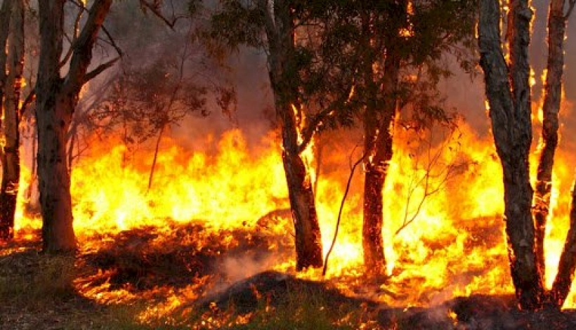 Mato Grosso registra 425 focos de queimada em 7 dias
