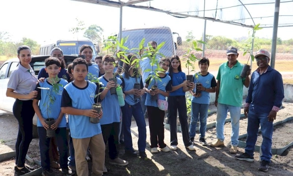 Alunos da Dom Helder conhecem Viveiro de Mudas da Coogavepe