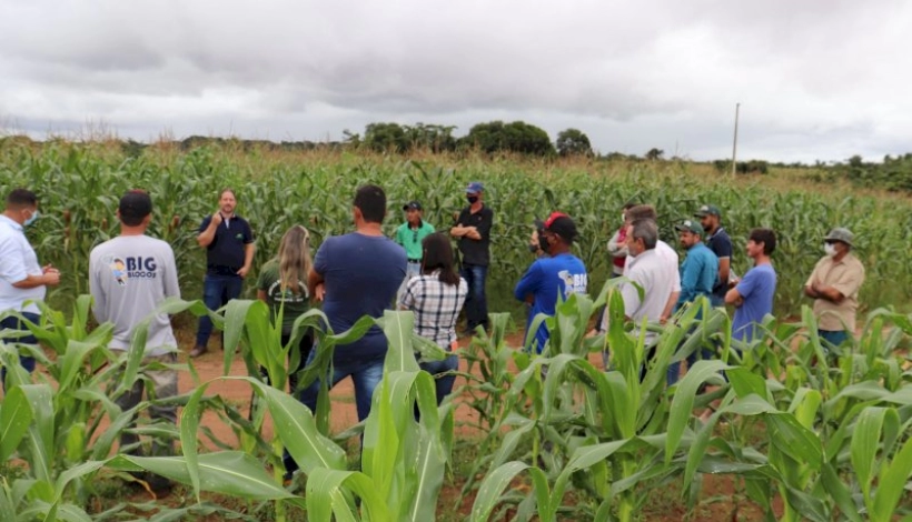 COOPERMT realiza Dia de Campo sobre Hortifruticultura em Matupá