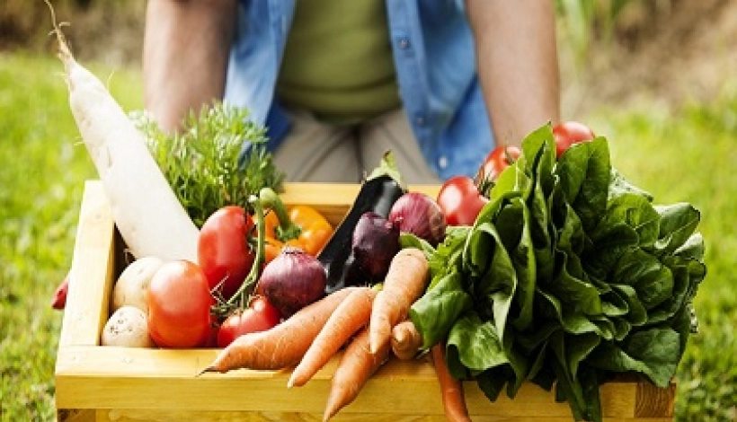 Alimentos