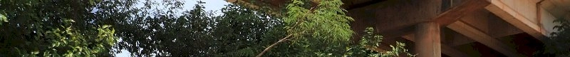 Ação Ambiental Unidos pelo Rio 2026 