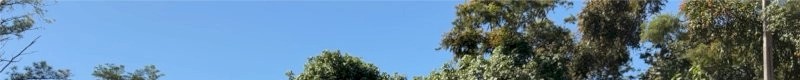 Patrulas para agricultura familiar estiveram no rodar de ações da Deputada Flavinha